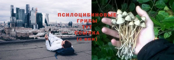 дживик Нягань